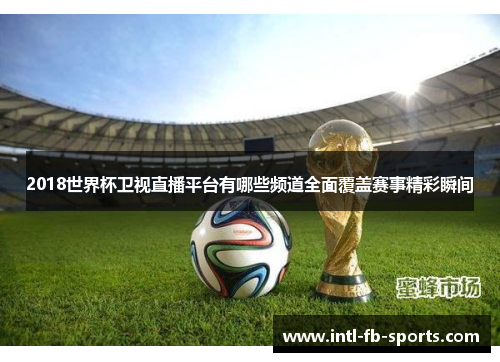 2018世界杯卫视直播平台有哪些频道全面覆盖赛事精彩瞬间 2018世界杯卫视直播平台有哪些频道全面覆盖赛事精彩瞬间