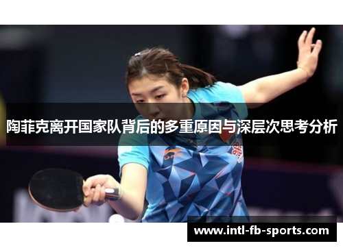 陶菲克离开国家队背后的多重原因与深层次思考分析
